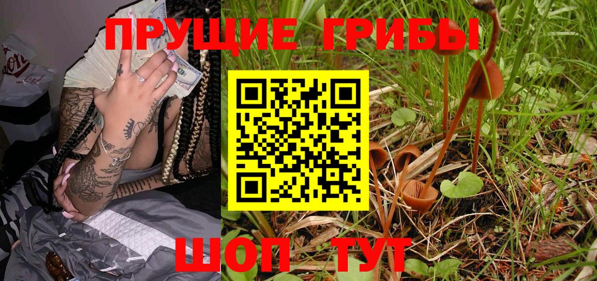 Галлюциногенные грибы GOLDEN TEACHER Вятские Поляны