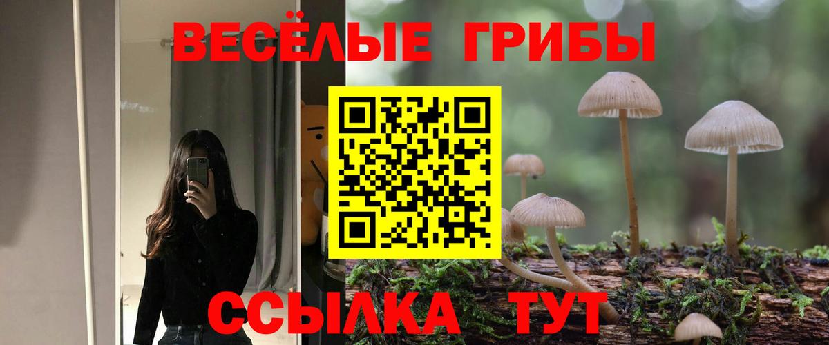 Псилоцибиновые грибы ЛСД  Вход с VPN  Вятские Поляны 